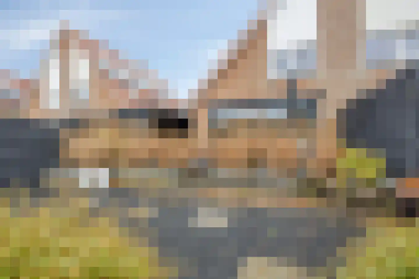 Coppersdelle 7 Petten thumbnail 25