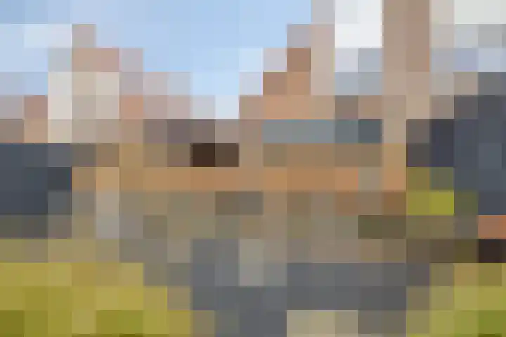Coppersdelle 7 Petten thumbnail 25