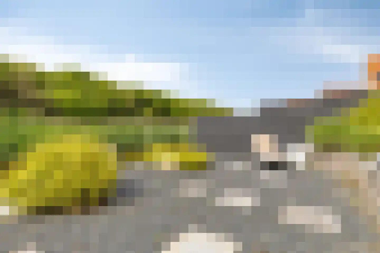 Coppersdelle 7 Petten thumbnail 25