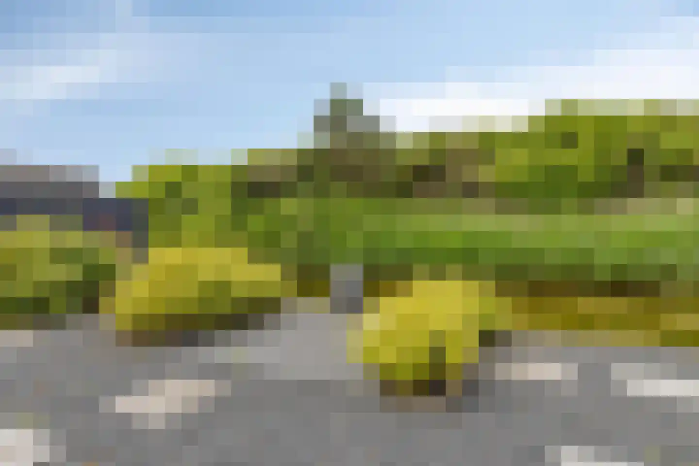 Coppersdelle 7 Petten thumbnail 26