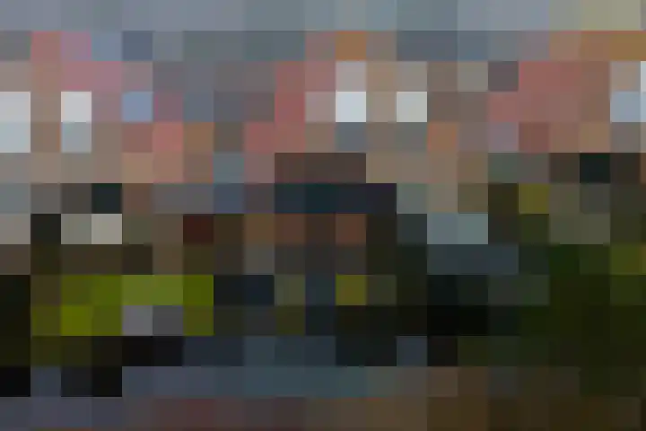 Coppersdelle 7 Petten thumbnail 27