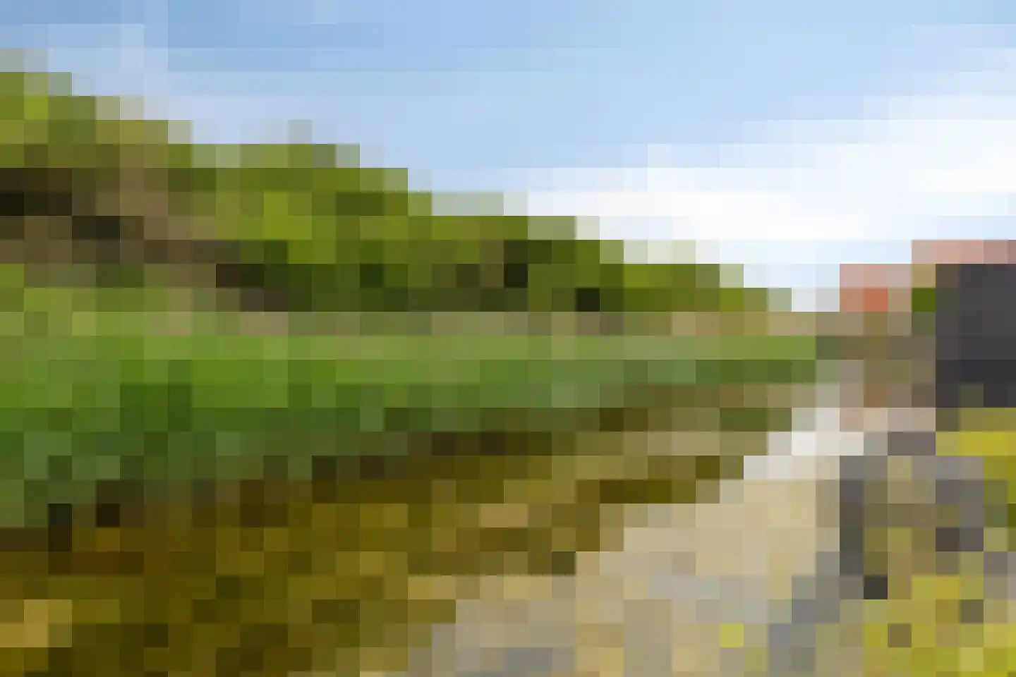 Coppersdelle 7 Petten thumbnail 27