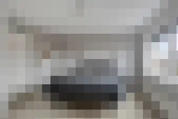 Coppersdelle 7 Petten thumbnail 35