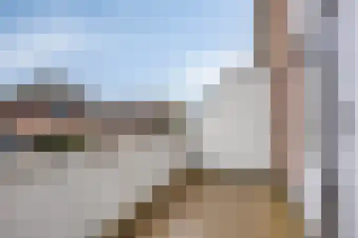 Coppersdelle 7 Petten thumbnail 45