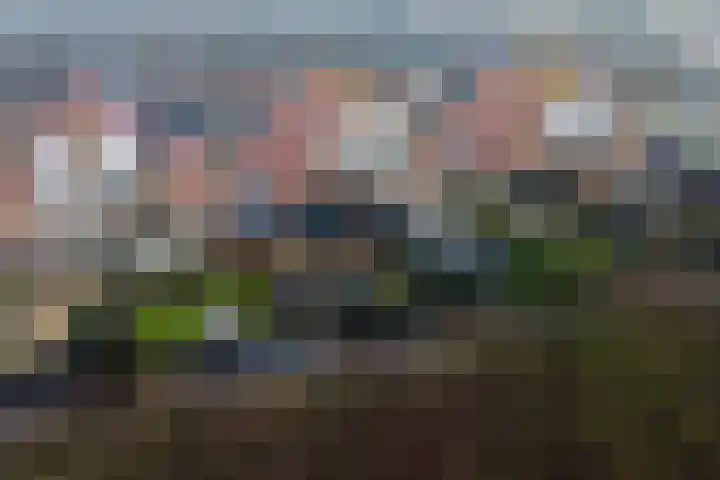 Coppersdelle 7 Petten thumbnail 5