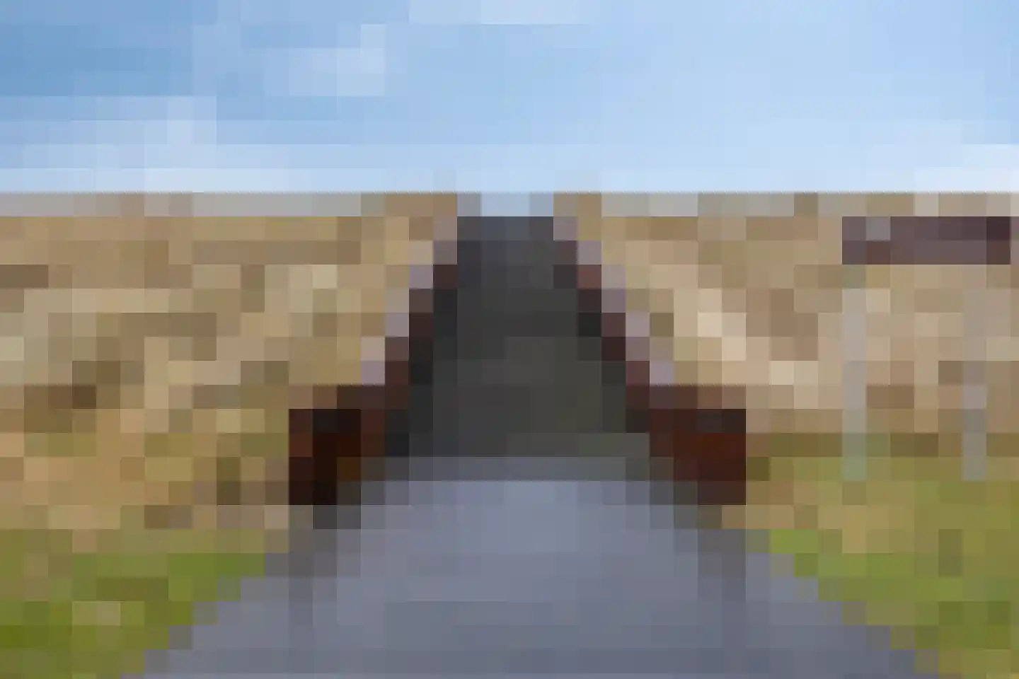 Coppersdelle 7 Petten thumbnail 52
