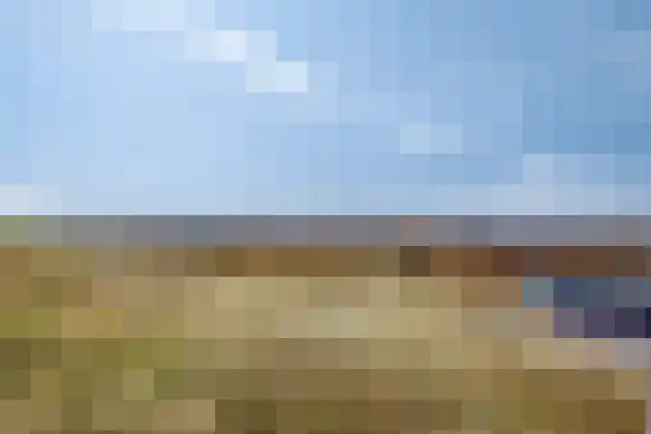 Coppersdelle 7 Petten thumbnail 53