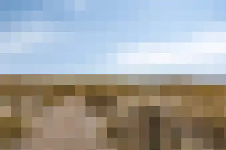 Coppersdelle 7 Petten thumbnail 55