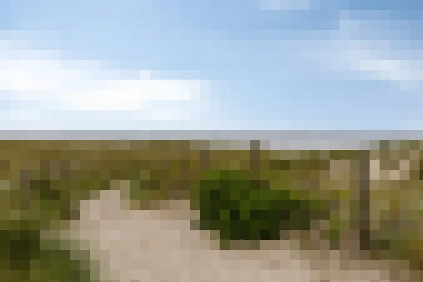 Coppersdelle 7 Petten thumbnail 57