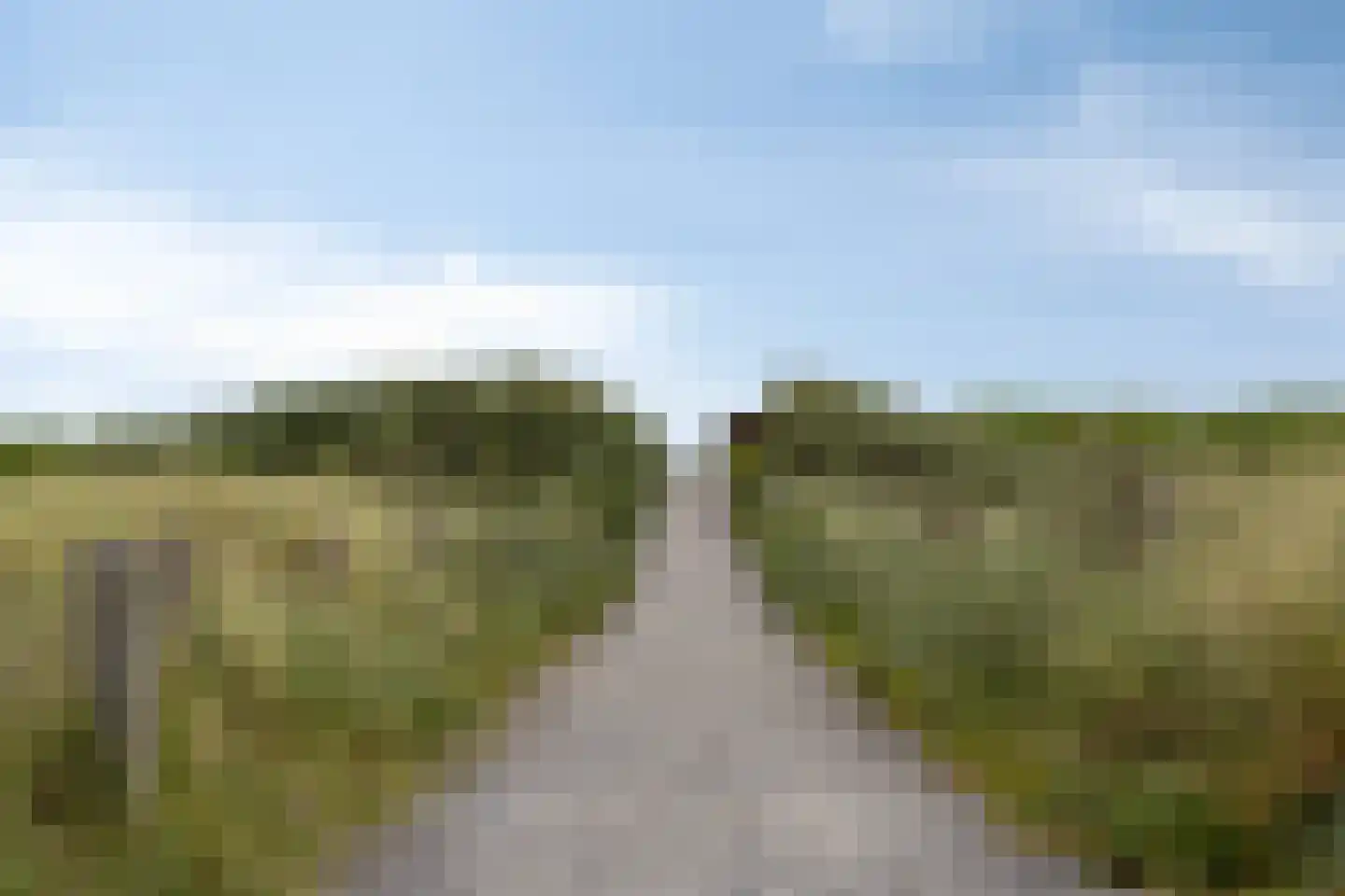 Coppersdelle 7 Petten thumbnail 58