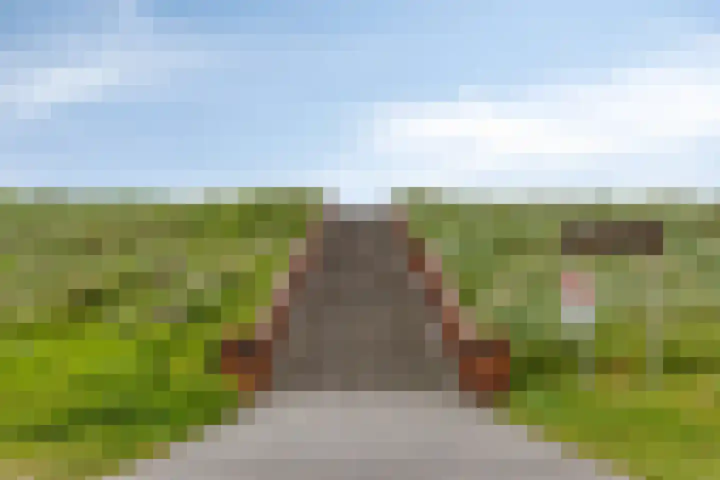 Coppersdelle 7 Petten thumbnail 59