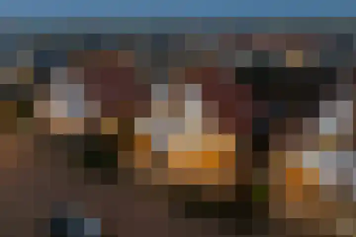 Coppersdelle 7 Petten thumbnail 6