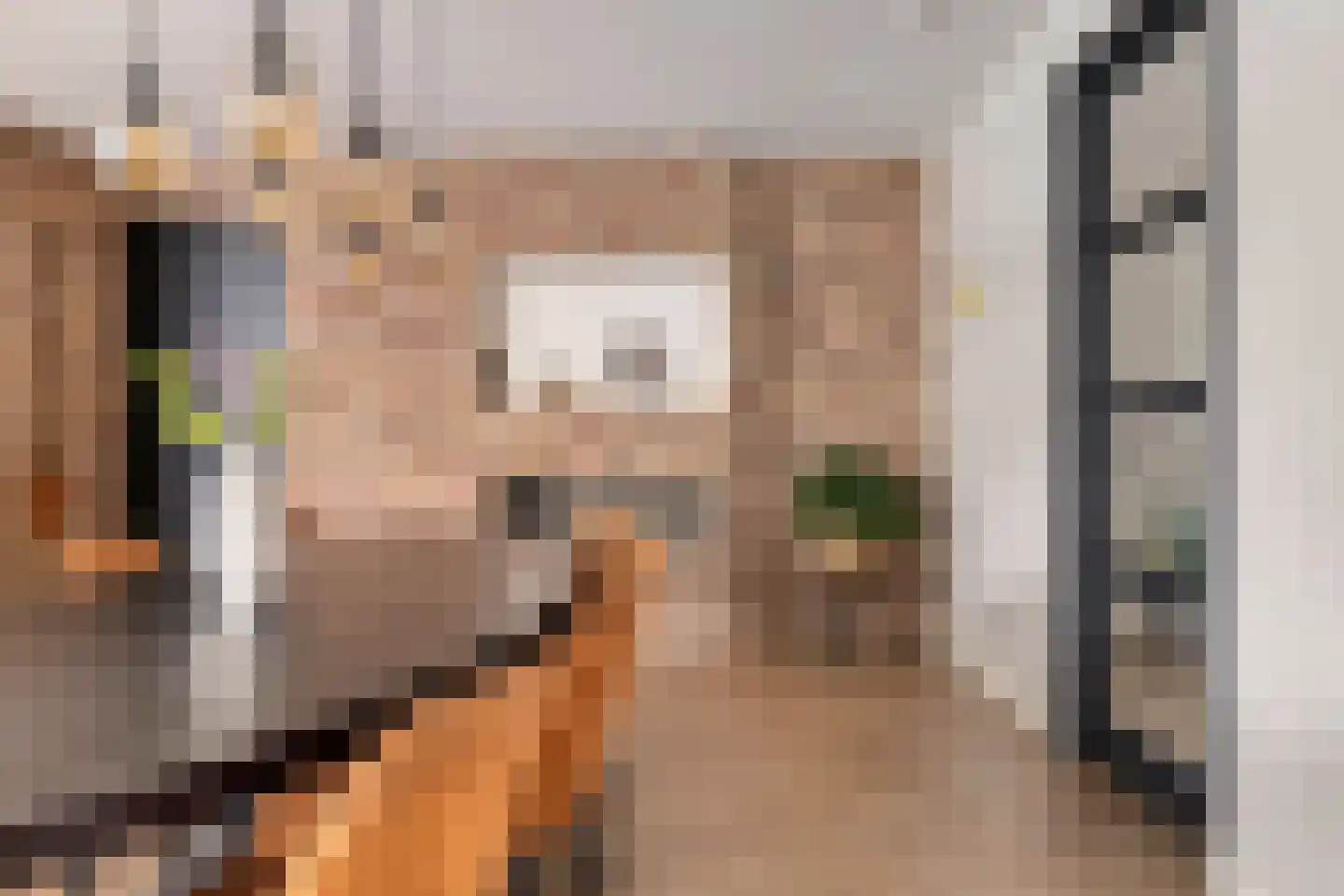 Coppesdonk 9 Helmond thumbnail 13