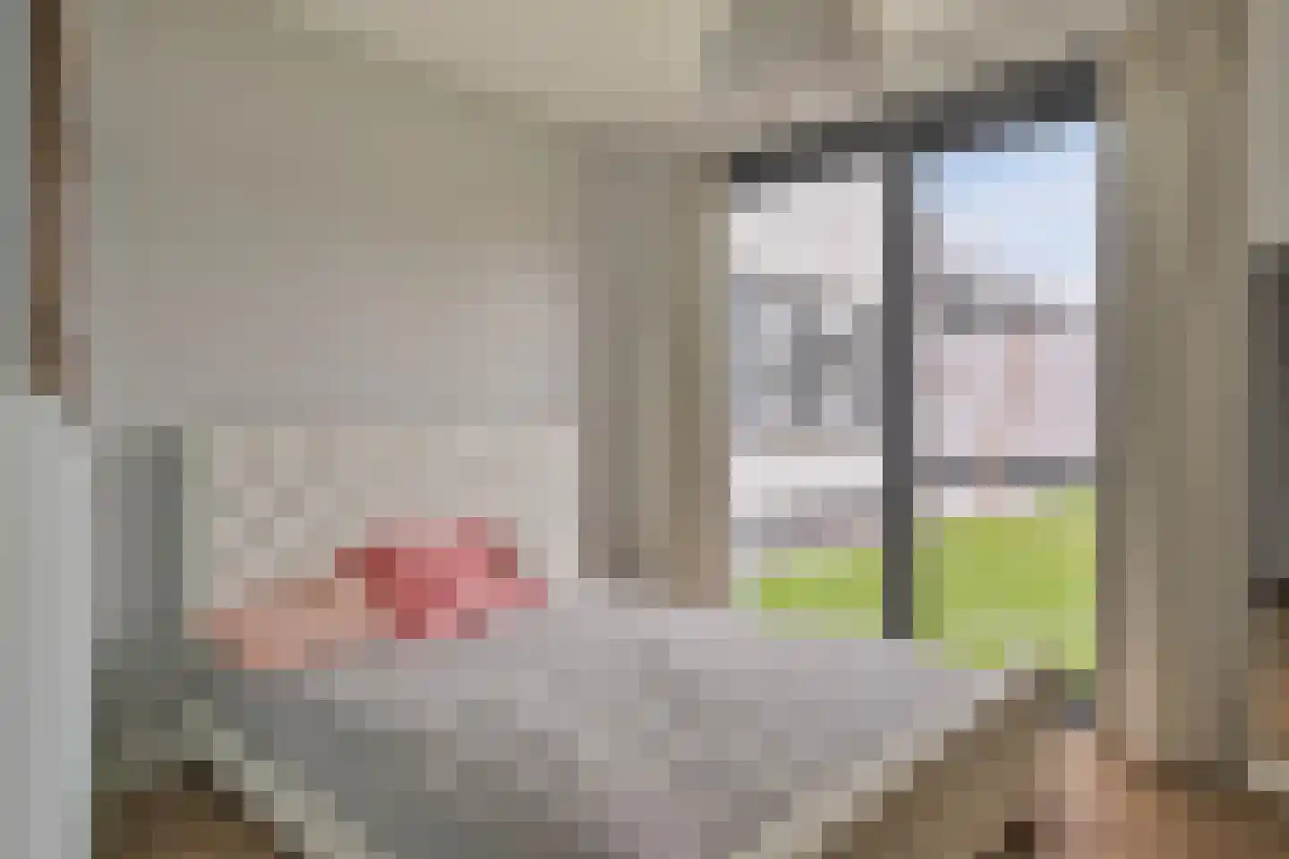Coppesdonk 9 Helmond thumbnail 24