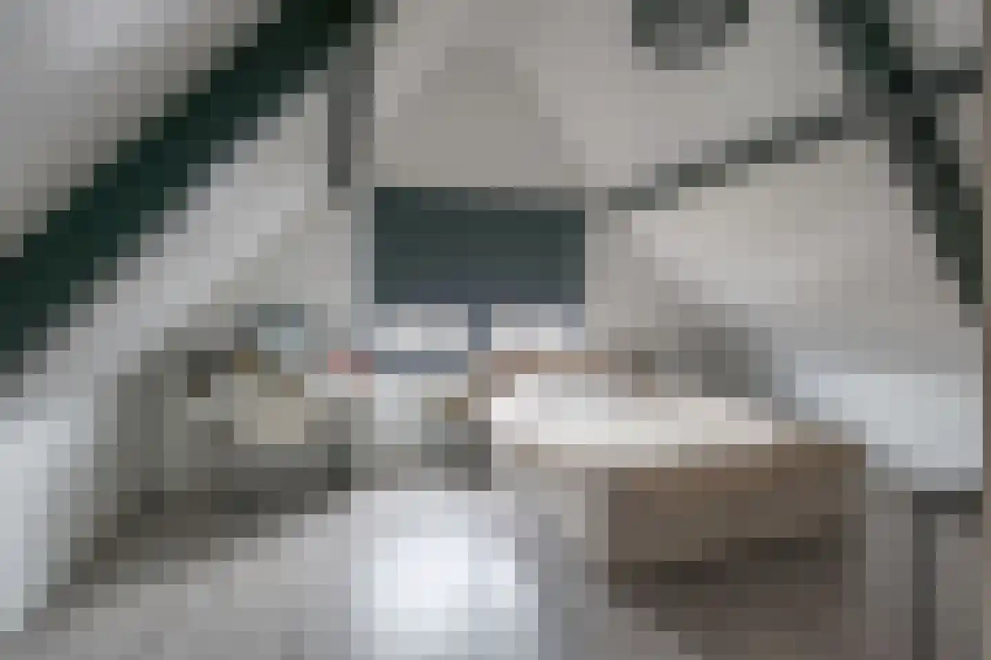 Coppesdonk 9 Helmond thumbnail 37