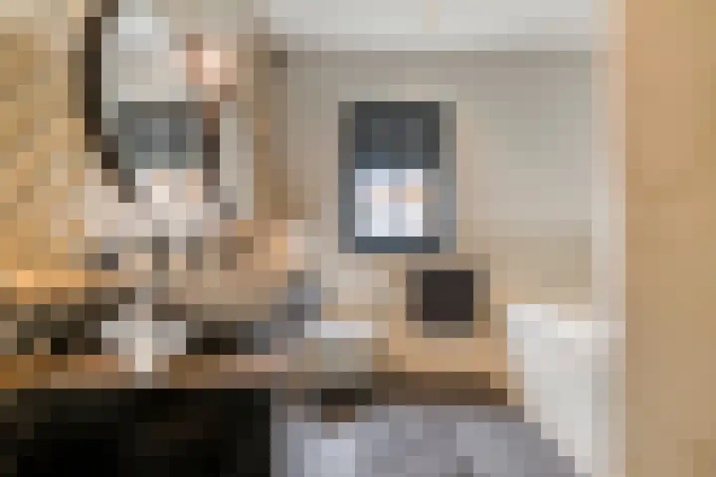 Coppesdonk 9 Helmond thumbnail 4