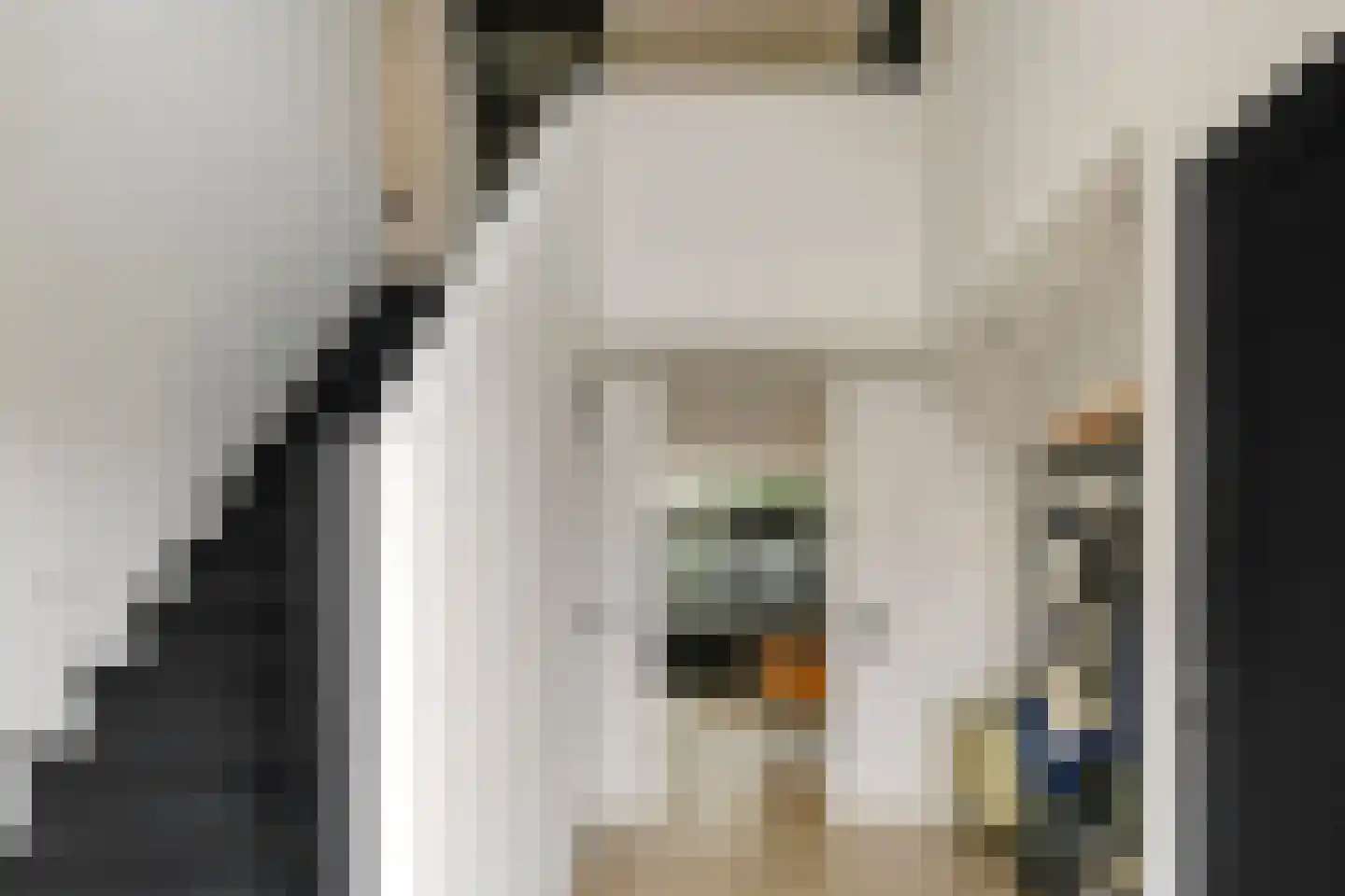 Coppesdonk 9 Helmond thumbnail 8