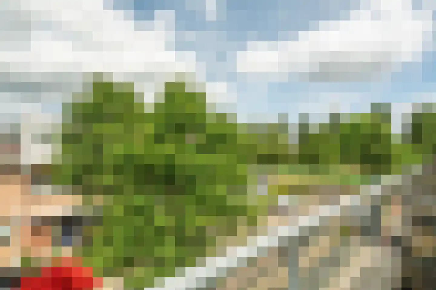 Cor Bruijnstraat 7 Wageningen thumbnail 24