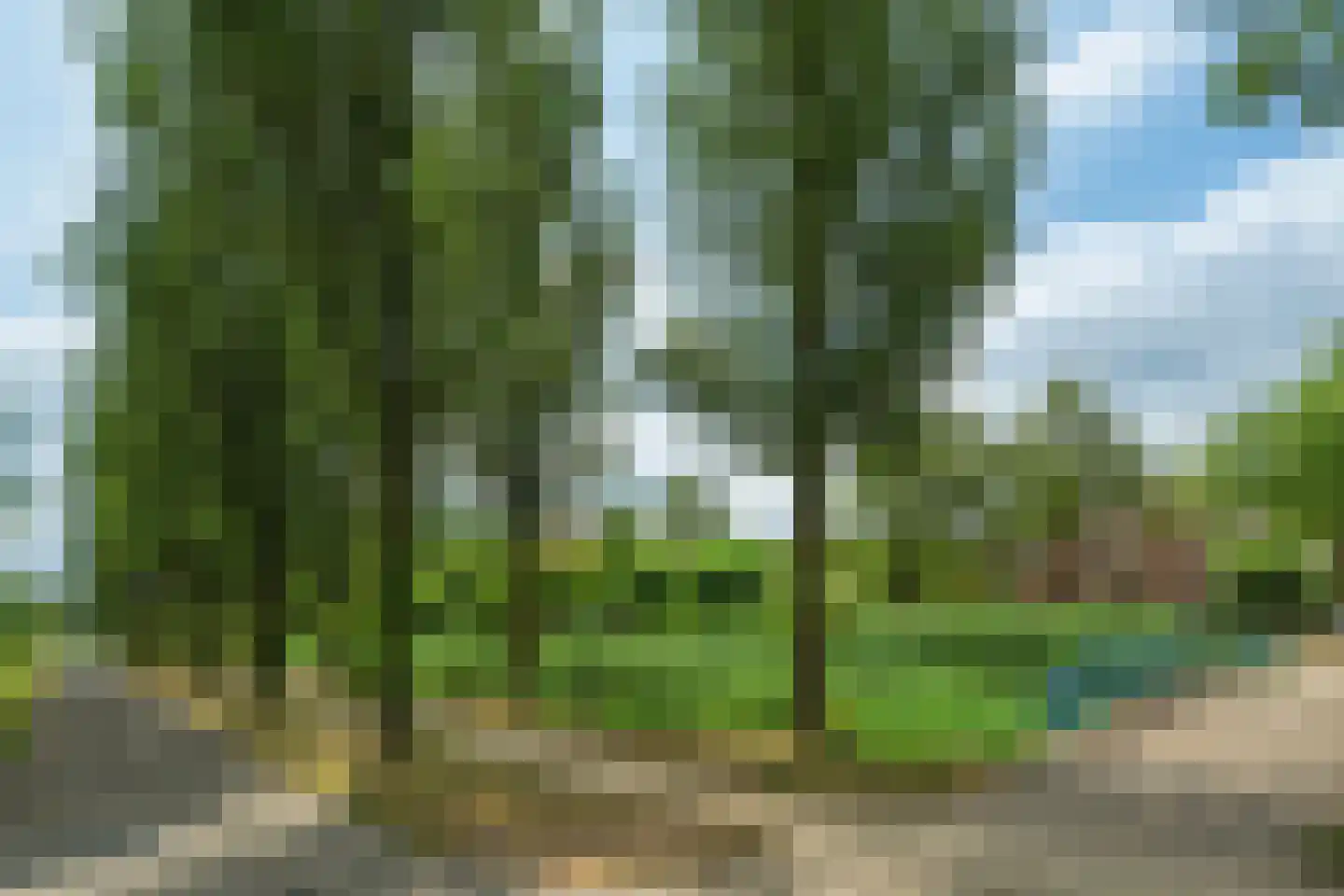 Cor Bruijnstraat 7 Wageningen thumbnail 34