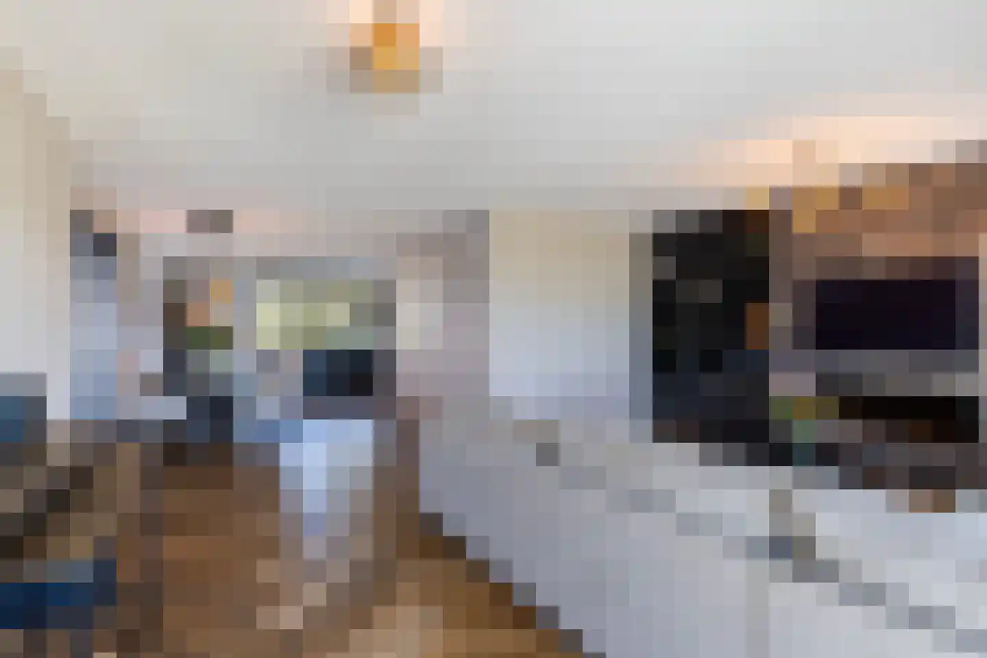 Cor Dirksestraat 26 Mijnsheerenland thumbnail 10
