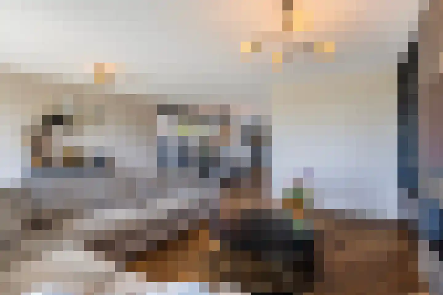 Cor Dirksestraat 26 Mijnsheerenland thumbnail 11