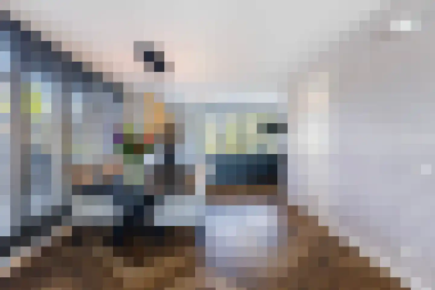 Cor Dirksestraat 26 Mijnsheerenland thumbnail 14