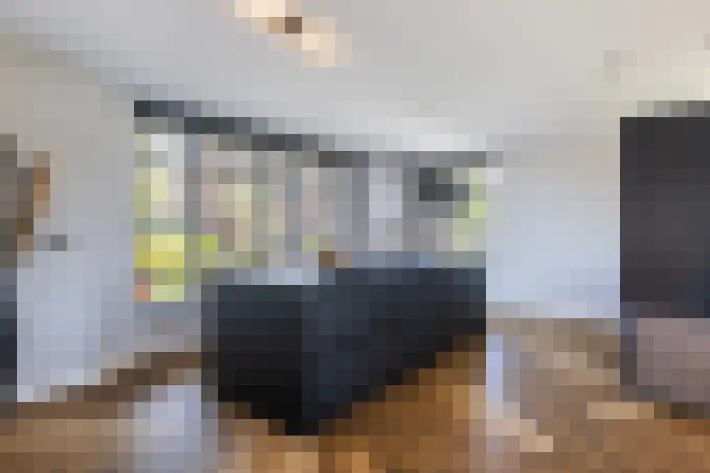 Cor Dirksestraat 26 Mijnsheerenland thumbnail 18