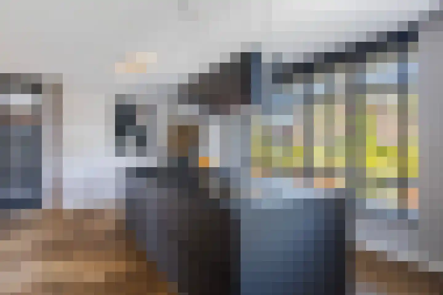 Cor Dirksestraat 26 Mijnsheerenland thumbnail 20
