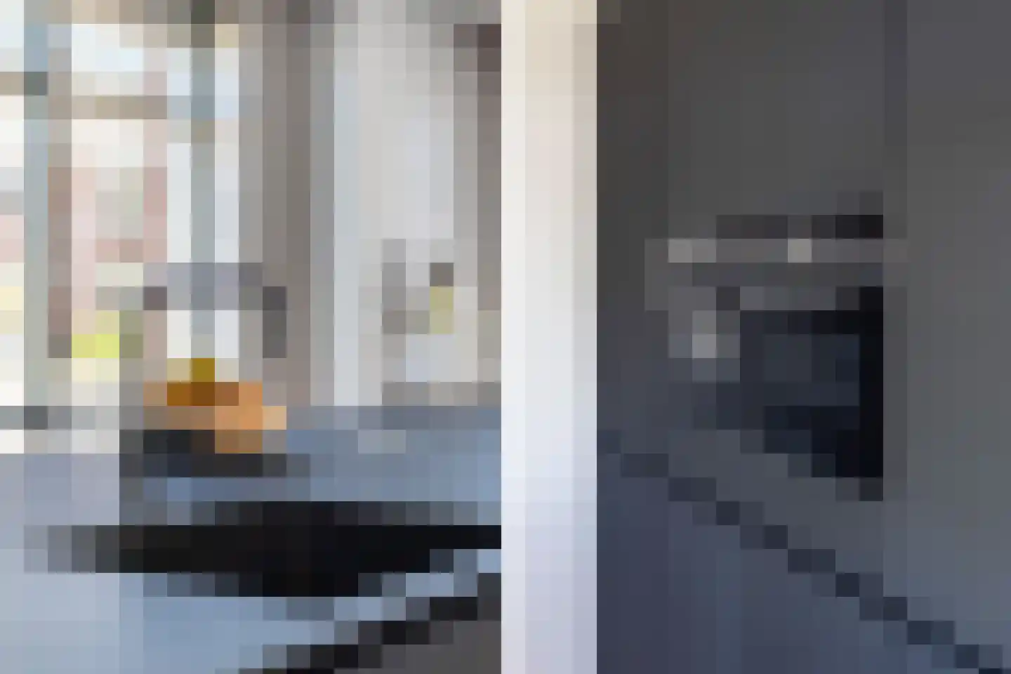 Cor Dirksestraat 26 Mijnsheerenland thumbnail 23