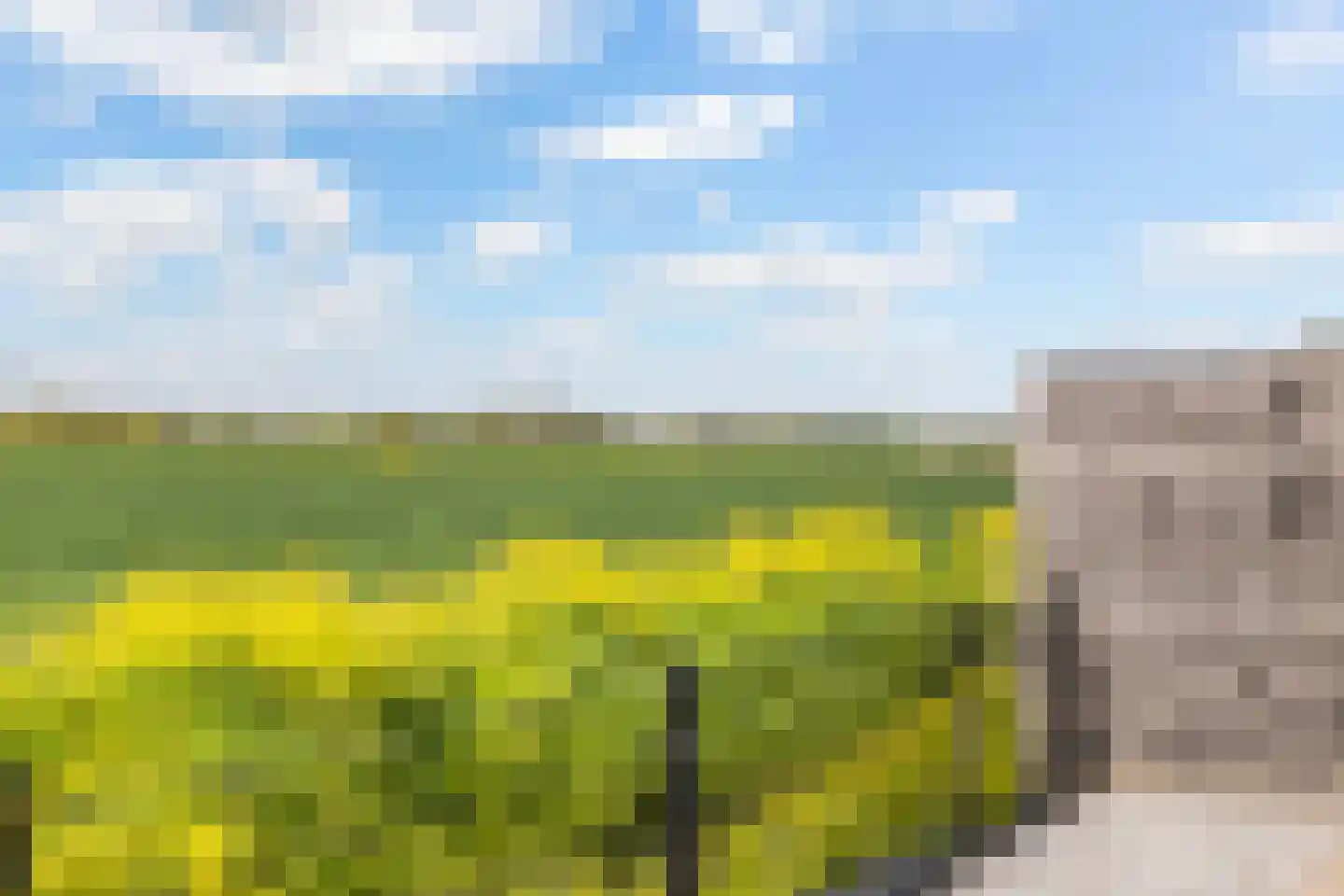 Cor Dirksestraat 26 Mijnsheerenland thumbnail 30