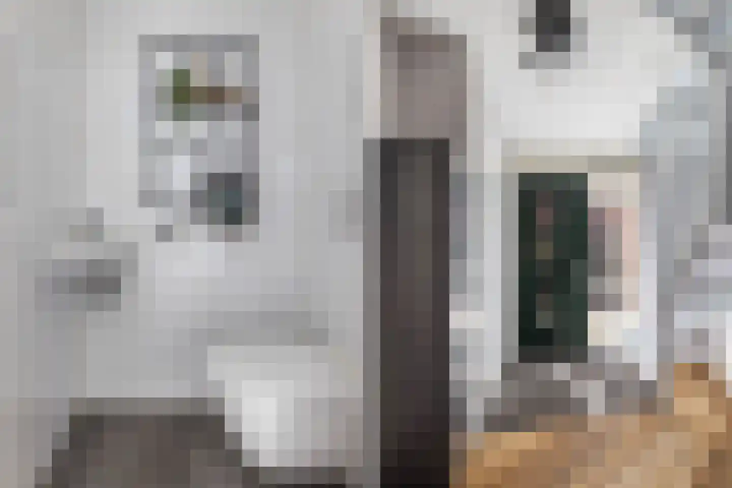 Cor Dirksestraat 26 Mijnsheerenland thumbnail 31