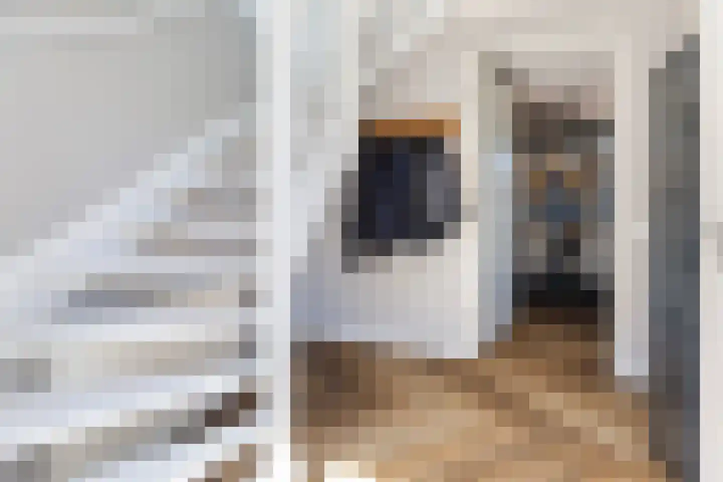 Cor Dirksestraat 26 Mijnsheerenland thumbnail 32