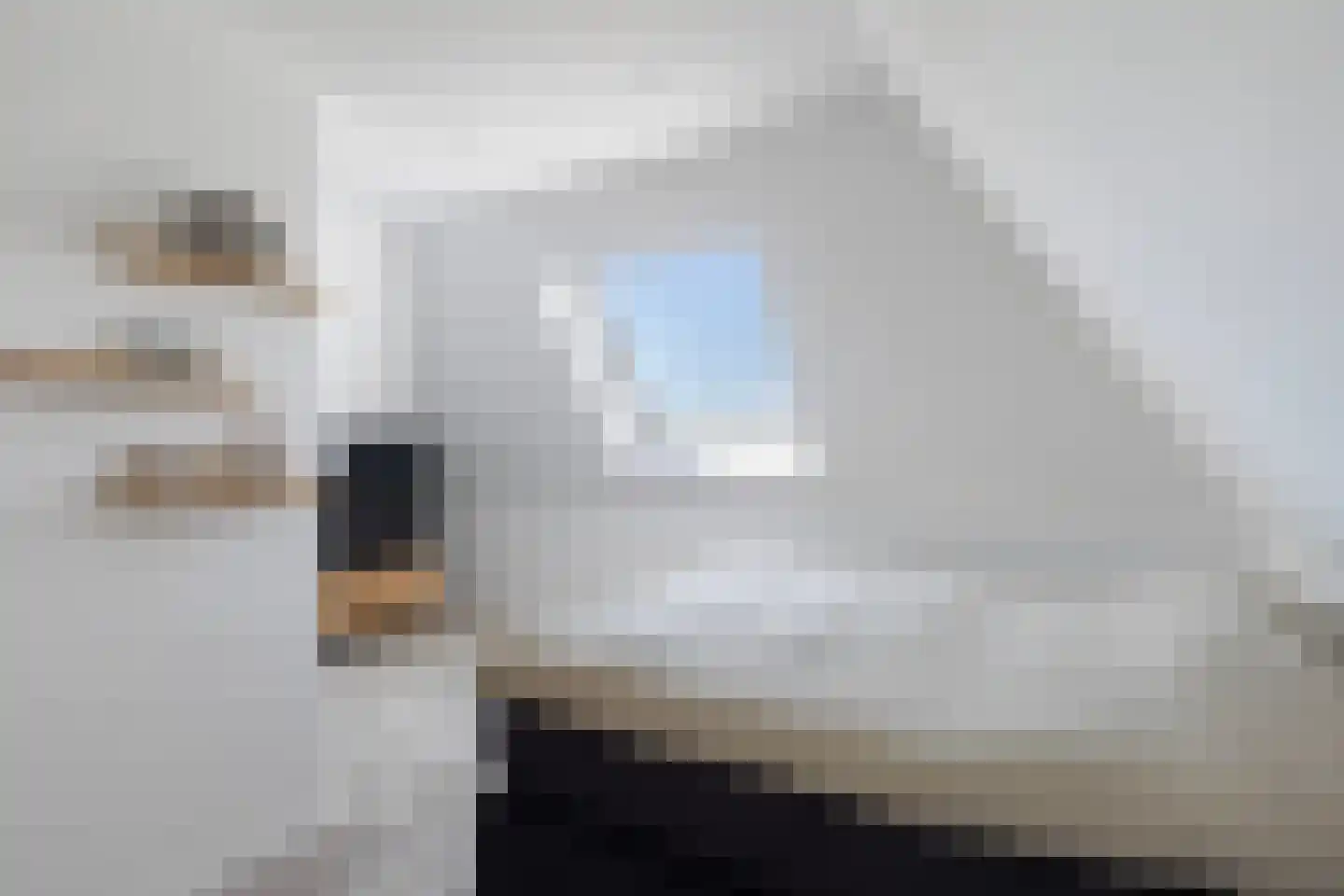 Cor Dirksestraat 26 Mijnsheerenland thumbnail 52