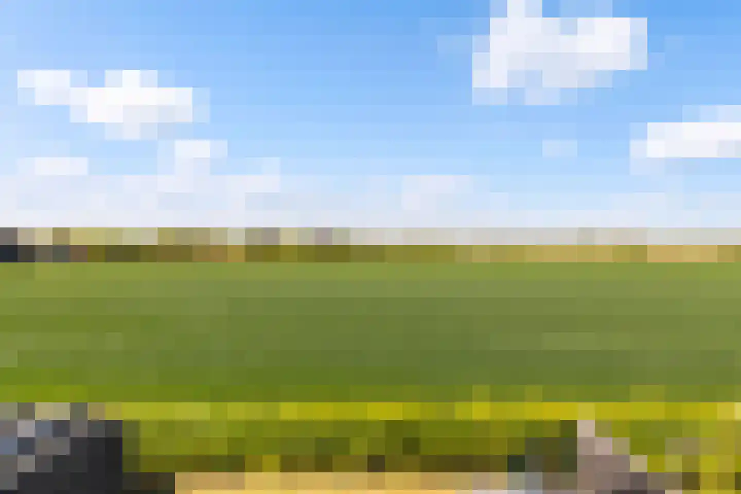Cor Dirksestraat 26 Mijnsheerenland thumbnail 54