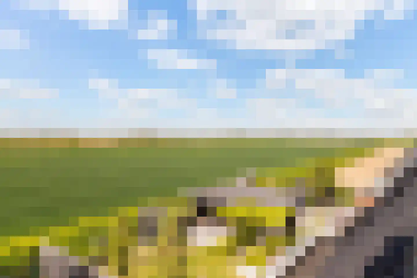 Cor Dirksestraat 26 Mijnsheerenland thumbnail 55