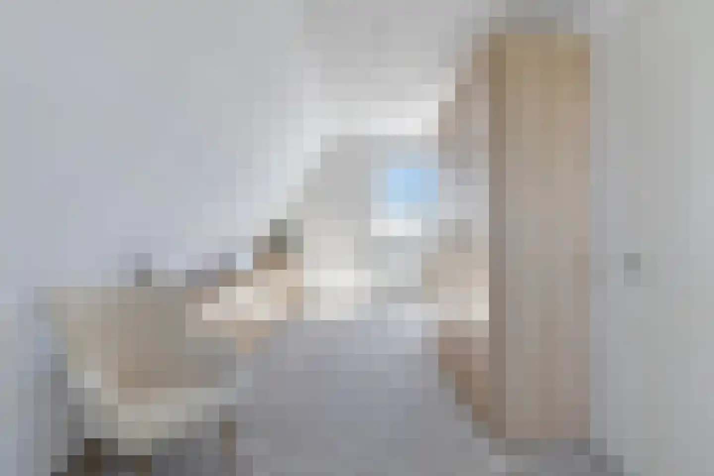 Cor Dirksestraat 26 Mijnsheerenland thumbnail 58
