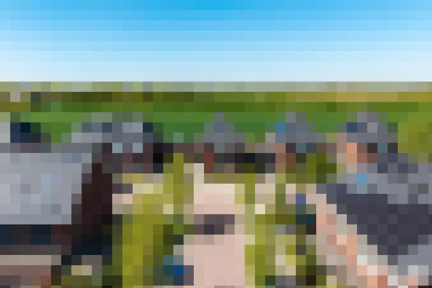 Cor Dirksestraat 26 Mijnsheerenland thumbnail 66