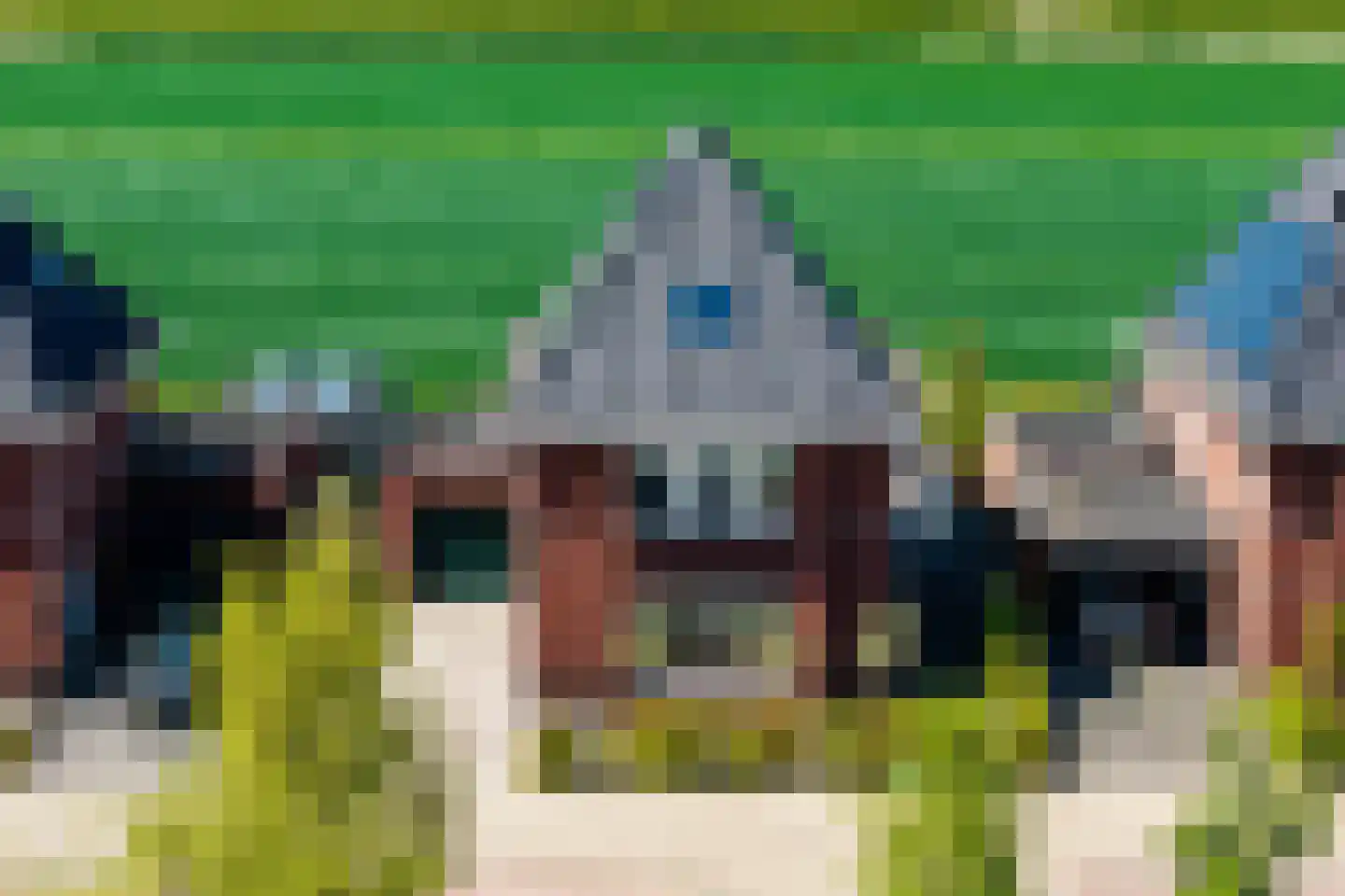 Cor Dirksestraat 26 Mijnsheerenland thumbnail 67