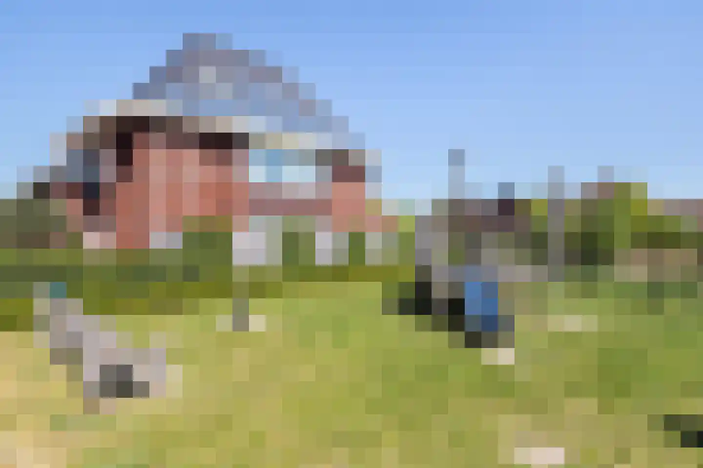 Cor Dirksestraat 26 Mijnsheerenland thumbnail 77