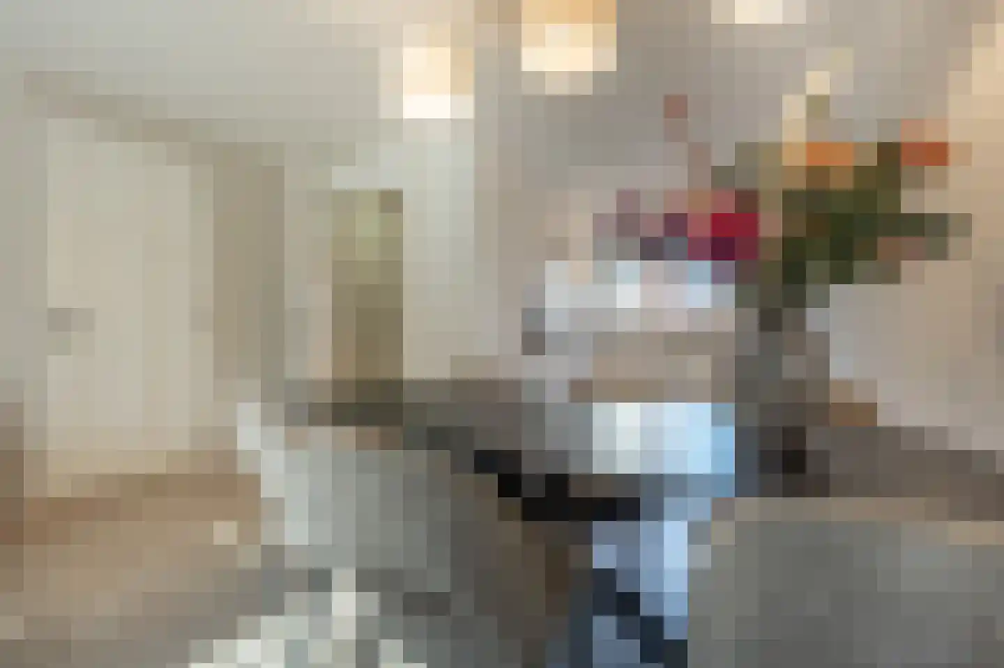 Cor Dirksestraat 7 Mijnsheerenland thumbnail 10