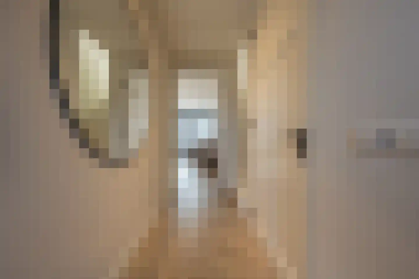 Cor Dirksestraat 7 Mijnsheerenland thumbnail 16