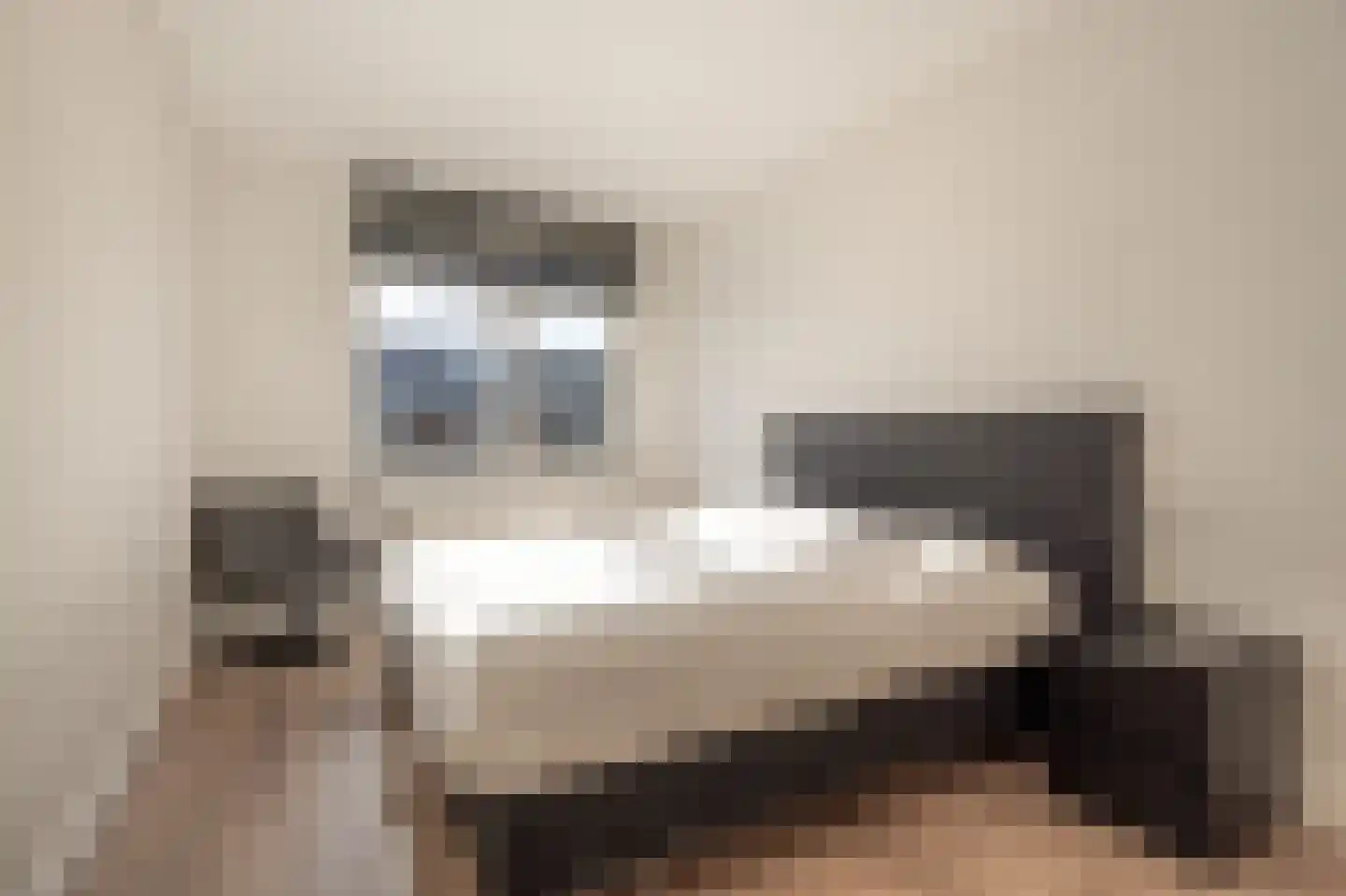 Cor Dirksestraat 7 Mijnsheerenland thumbnail 18