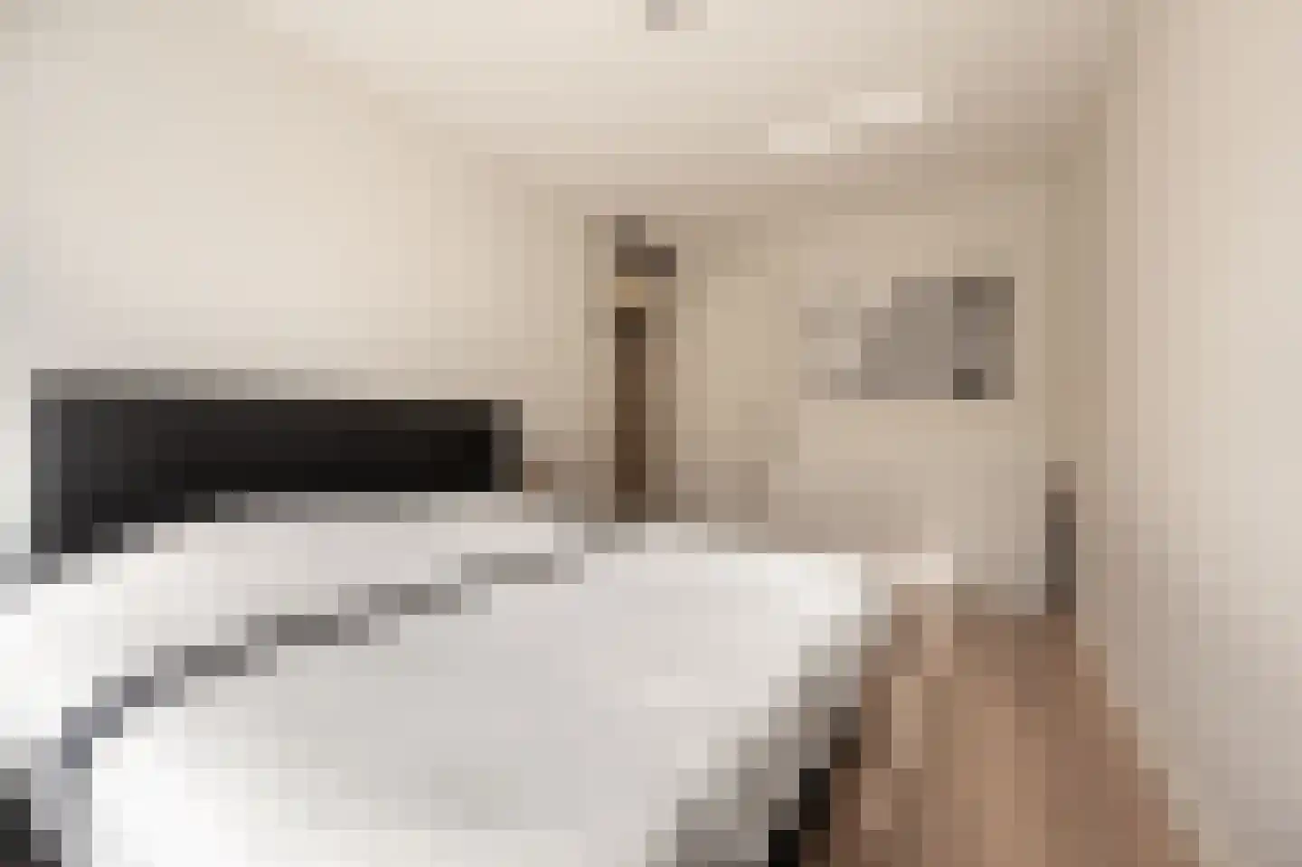 Cor Dirksestraat 7 Mijnsheerenland thumbnail 19