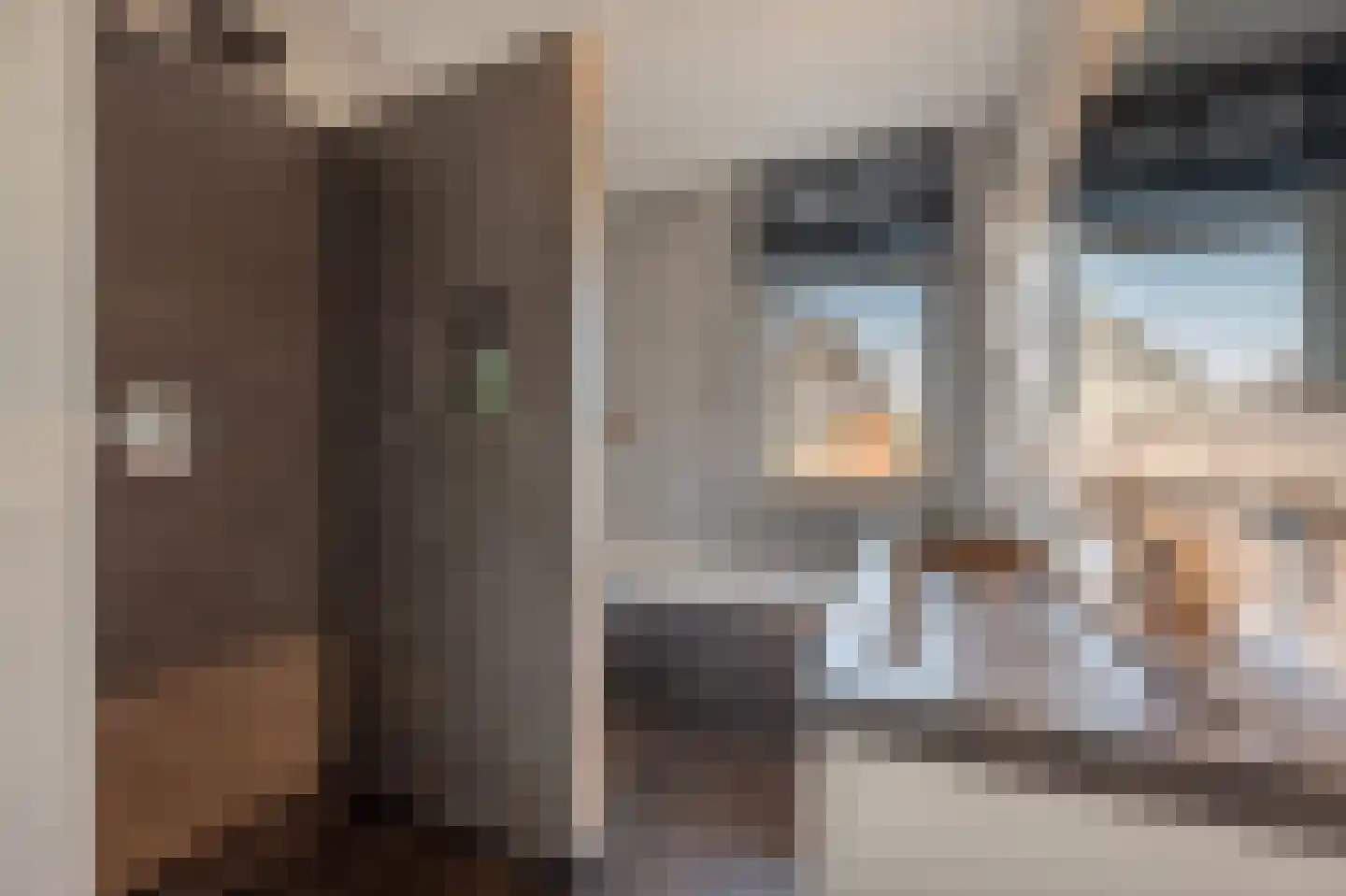 Cor Dirksestraat 7 Mijnsheerenland thumbnail 22