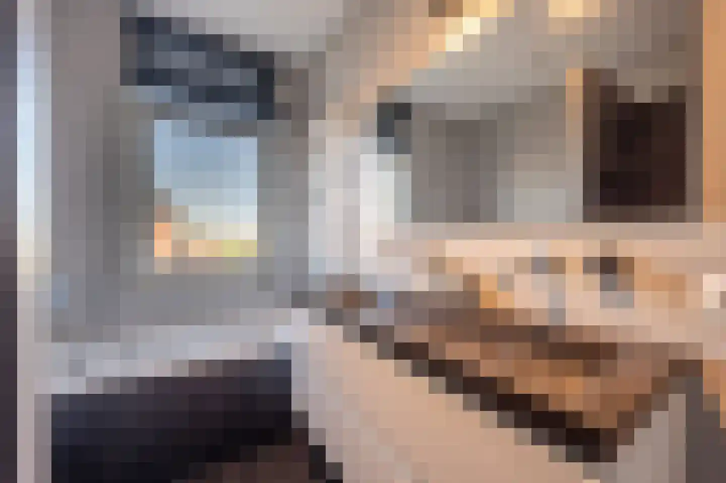 Cor Dirksestraat 7 Mijnsheerenland thumbnail 23