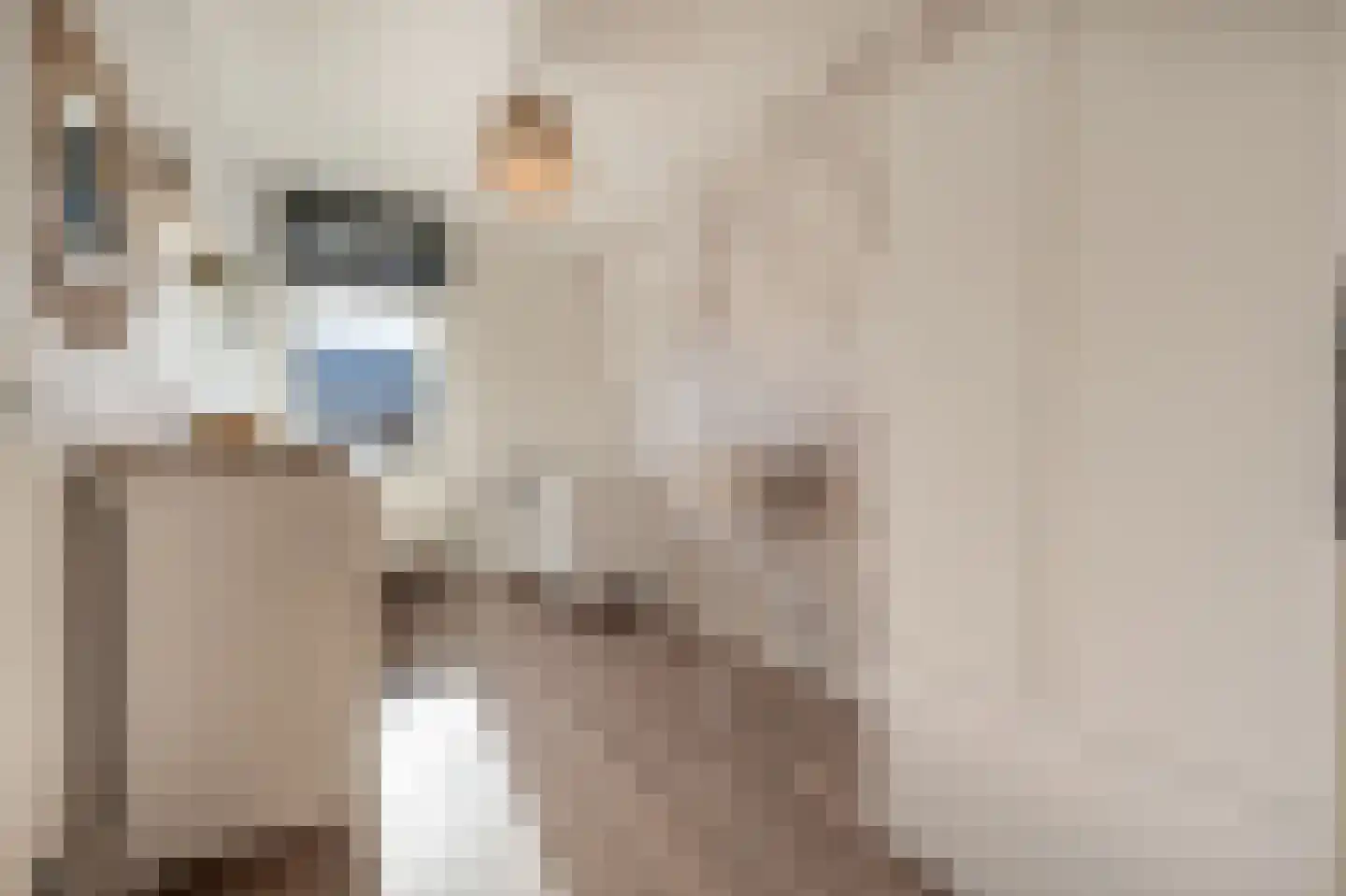 Cor Dirksestraat 7 Mijnsheerenland thumbnail 25