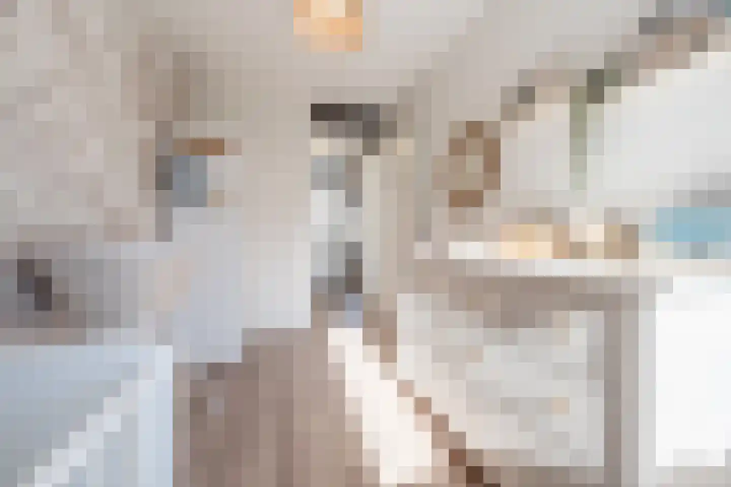 Cor Dirksestraat 7 Mijnsheerenland thumbnail 26