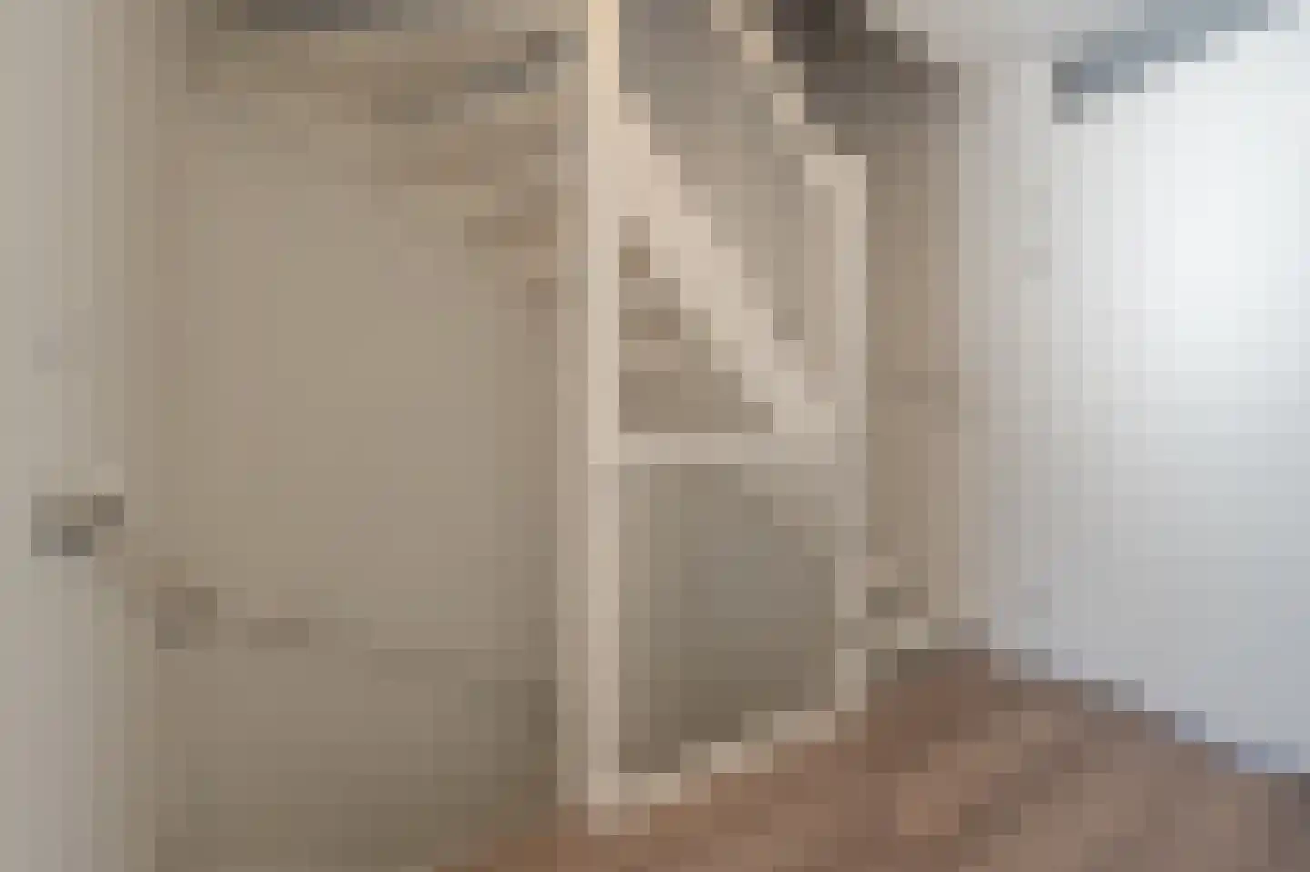 Cor Dirksestraat 7 Mijnsheerenland thumbnail 27