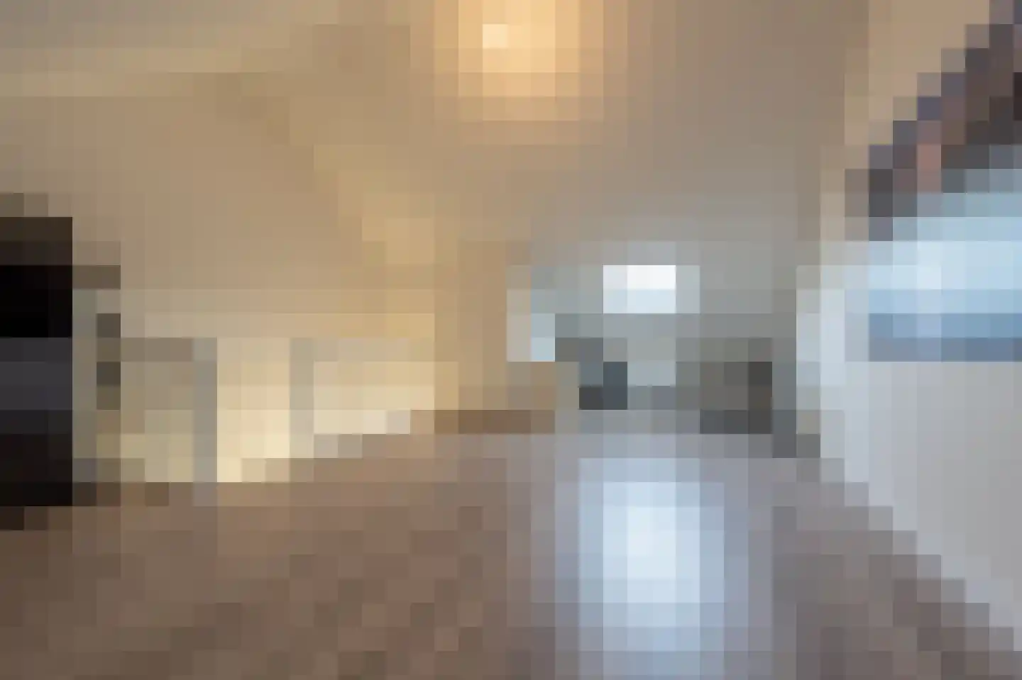 Cor Dirksestraat 7 Mijnsheerenland thumbnail 28