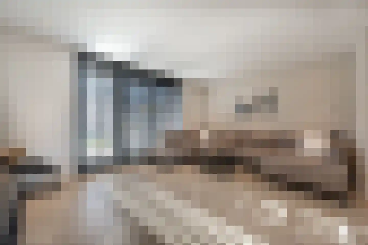 Cor Dirksestraat 7 Mijnsheerenland thumbnail 4